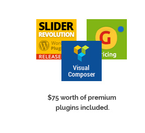 $75 worth of premium plugins included.